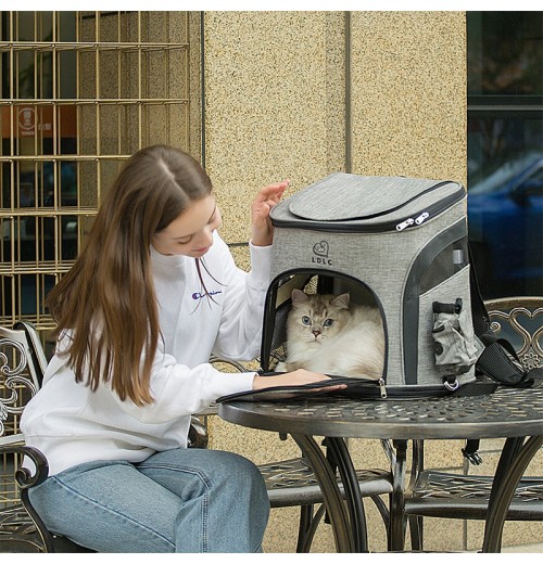 Clear Cat Carrier Backpack