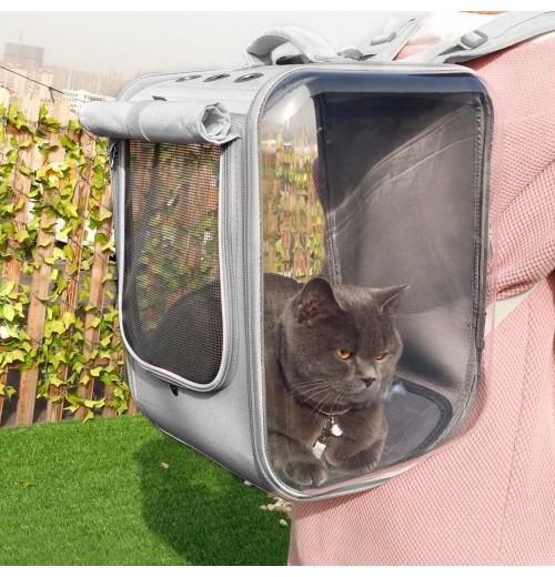 Transparent Cat Carrier